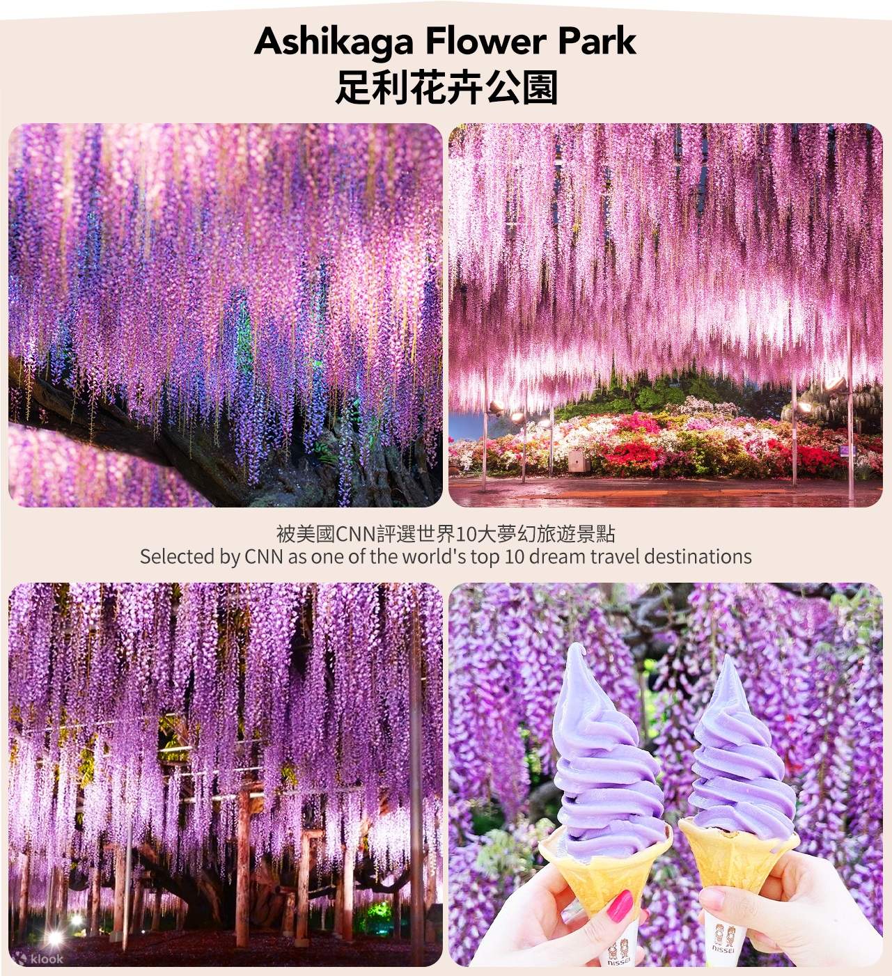 Wisteria Story & Butterfly Sea] Ashikaga Flower Park Night